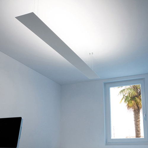 thin, sheet-shaped bulb