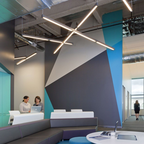 slender bulbs in a blue-themed office